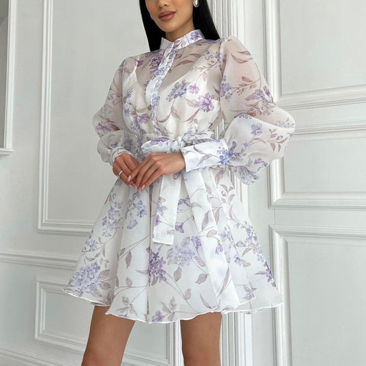 Lace Print Stand Collar Long Sleeve Dress