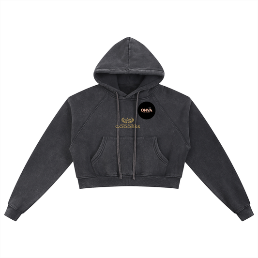 Snow Washed Cropped Hoodie