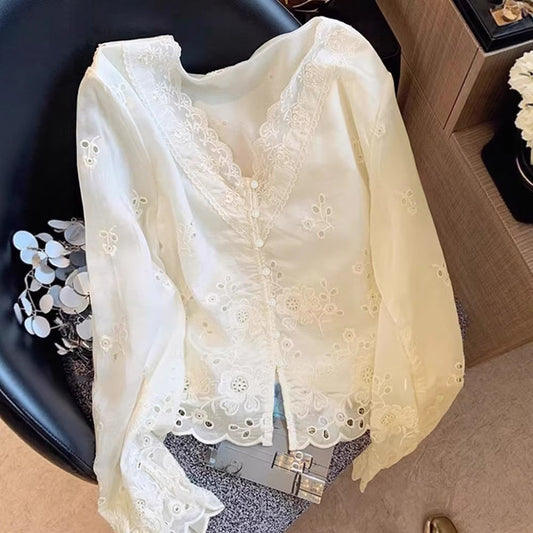 Elegant V-Neck Hollow-Out Lace Long Sleeve Shirt