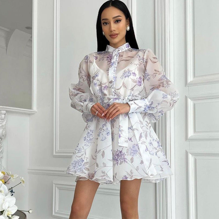 Lace Print Stand Collar Long Sleeve Dress