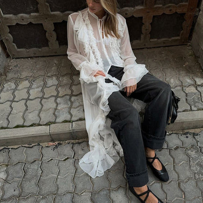 Sheer Ruffle Long Sleeve Single-Breasted Chiffon Dress