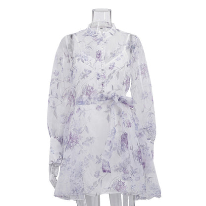 Lace Print Stand Collar Long Sleeve Dress